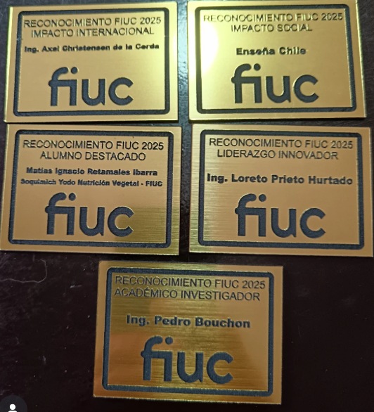 Trabajo de grabado láser 2